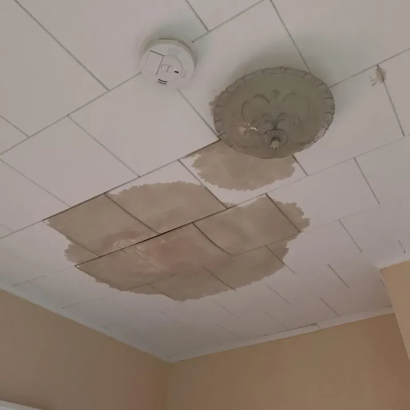 Ceiling Water Damage Repair in Hot Springs Village, AR